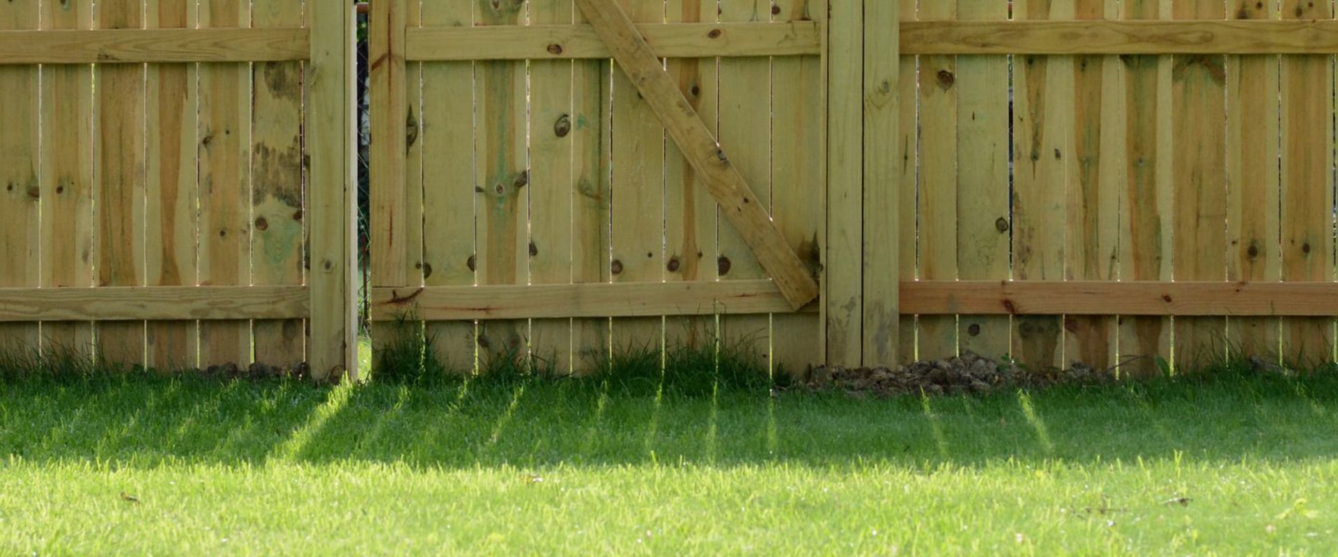 The Best Budget-Friendly Fencing Options for Your Garden