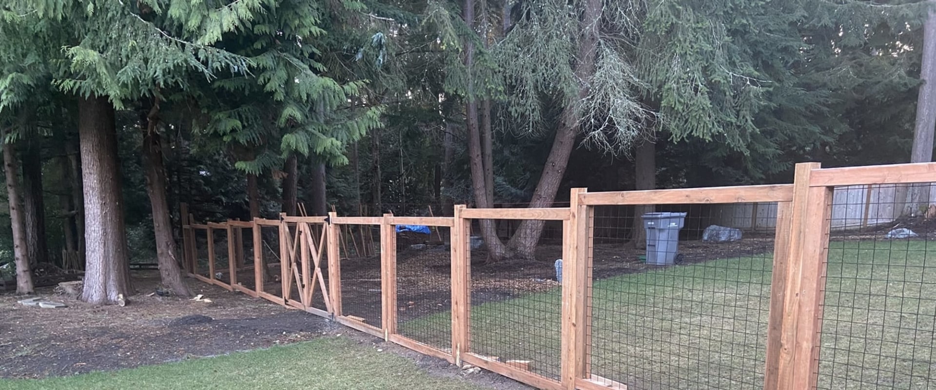 The Best Fencing Options for Dogs on a Budget