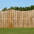 The Most Affordable Fencing Options for Your Home