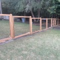 The Best Fencing Options for Dogs on a Budget