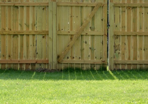 The Best Budget-Friendly Fencing Options for Your Garden