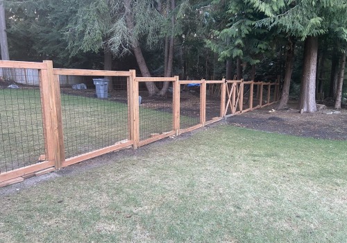 The Best Fencing Options for Dogs on a Budget